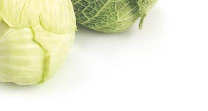 uprawy gruntowe kapustne problem preparat zalecana termin i rodzaj zabiegu karencja pche ki, chowacze odygowe 0,2 0,3 l/ha po zauwa eniu pierwszych objawów erowania mszyca kapuêciana 0,2 l/ha 10 14