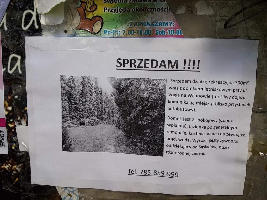 notował i