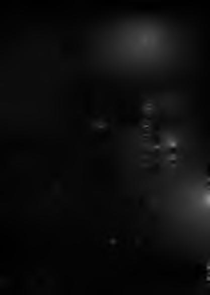 - - Drg. No. 43.