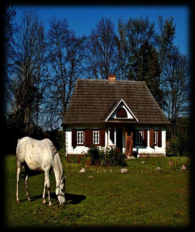 Muzeum i skansen w Suchej www.sucha.podlasie.pl znajdują się tutaj zabytkowe budowle z regionu Mazowsza i Podlasia.