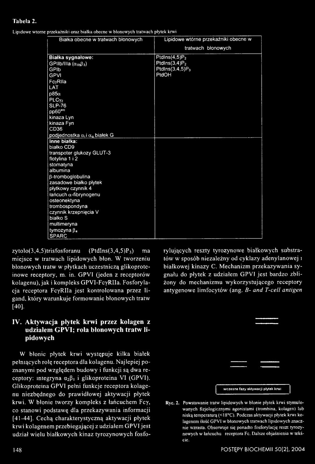 (Ptdlns(3,4,5)P3) ma miejsce w tratwach lipidowych błon. W tworzeniu błonowych tratw w płytkach uczestniczą glikoproteinowe receptory, m. in.