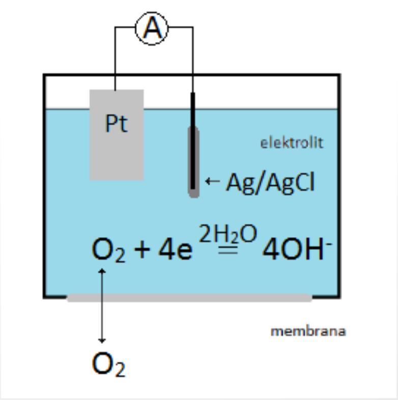 Sensory z detekcją amperometryczną Elektroda Clarka (właściwie ogniwo Clarka) E = 0,5 1.