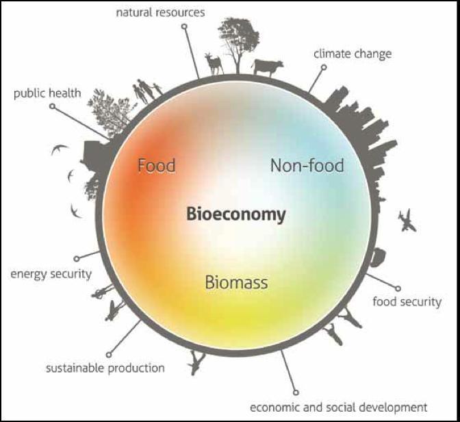 Produkty II Usługi Biogospodarka - działalność polegająca na zastosowaniu biotechnologii,