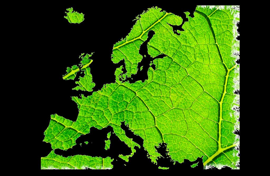 EU MERCI EU coordinated MEthods and procedures based on Real