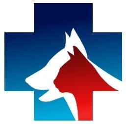 3. Technikum 4-letnie kształcące w zawodach: 3.