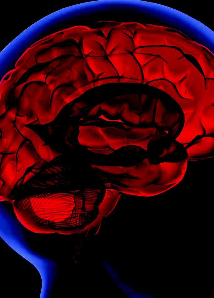 Z praktyki gabintu WCZESNA INTERWENCJA KLINICZNA W USPRAWNIANIU PACJENTÓW W ASPEKCIE KONCEPCJI TOROWANIA NERWOWO-MIĘŚNIOWEGO mgr Kamil Kaczka & dr Grzgorz Biliński dr Artur Ciślik Wdług