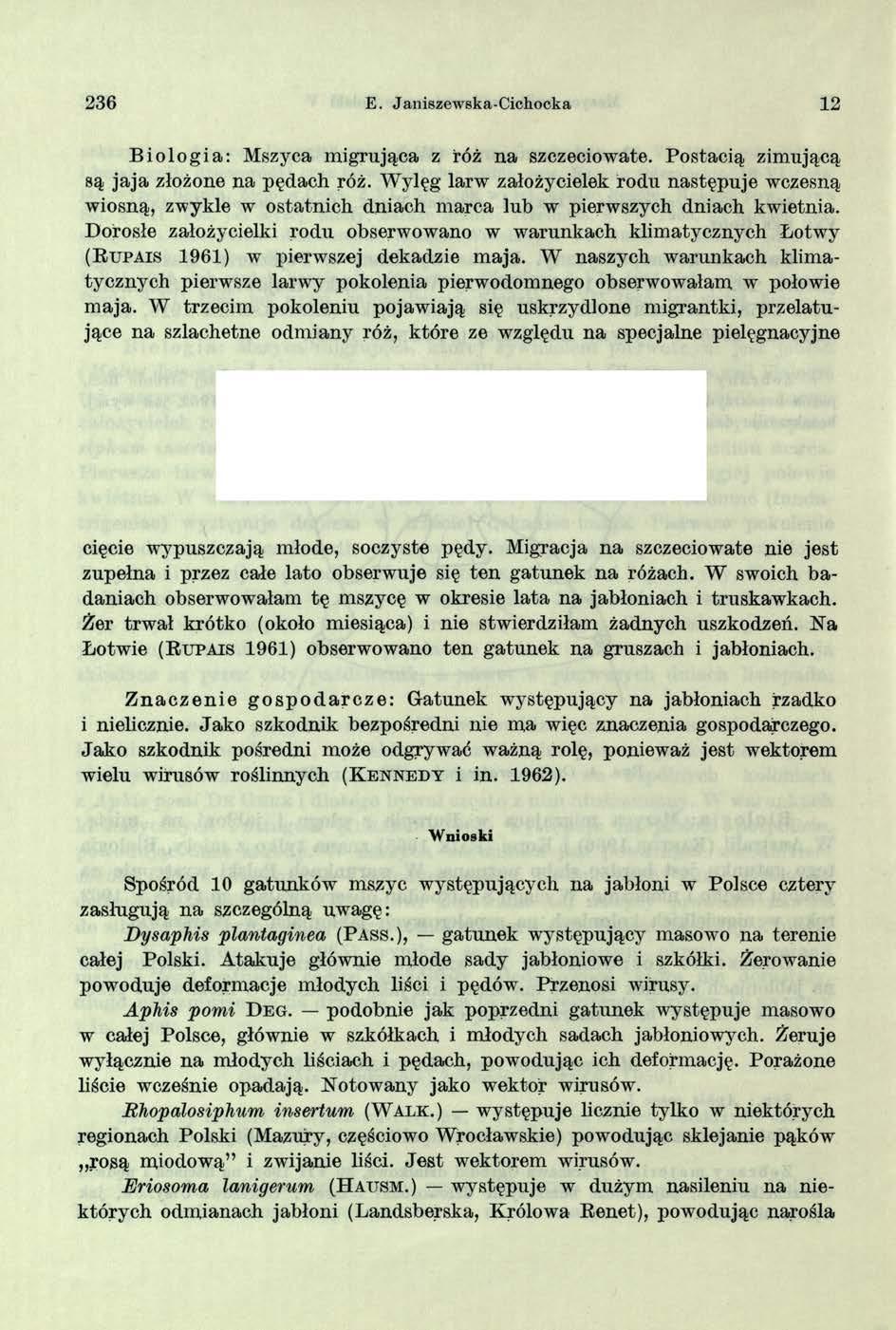 236 E. J aniszewska-cichocka 12 Biologia: Mszyca m igrująca z róż na szczeciowate. Postacią zim ującą są jaja złożone na pędach róż.