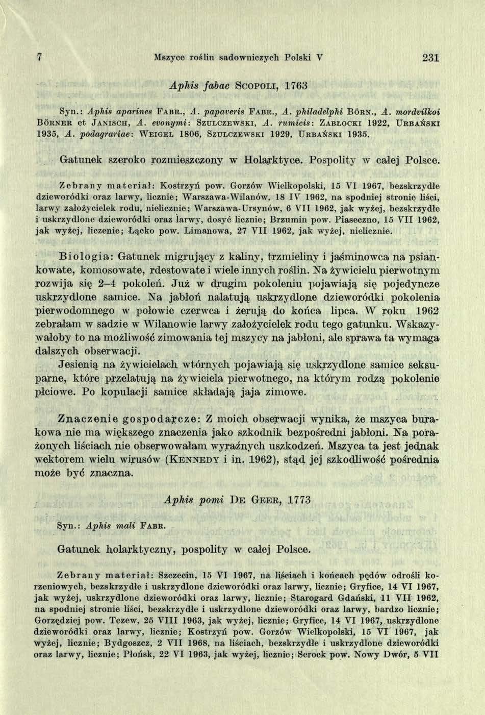 7 Mszyce roślin sadowniczych Polski V 231 Apliis fabae S c o po l i, 1763 Syn.: Aphis aparines F a b r., A. papaveris F a b r., A. philadelphi B o r n., A. mordvilkoi B ó r n e r et J a n is c h, A.
