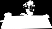 zł/l), - do pelargonii 0
