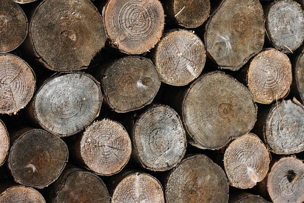K A RNI I SZE DRE W NIAI A N E WOODEN CURTAIN POLES GARNIŽE DREVENÉ