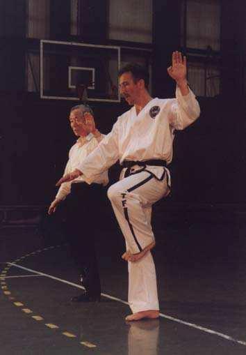 Na jesieni tego roku Miejski Klub Sportowy Lewart w Lubartowie decyzją zarządu przyjął w swoje szeregi juniorów trenujących taekwon-do. Rok później seniorzy i inne grupy wiekowe dołączyły do juniorów.