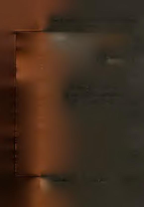 użyłku,, słu ż o w eg o F g y