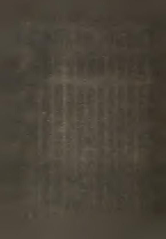 in n ie u - sprwy oso is te prce ro ln e w ied- 11- wio OGÓŁEM /d o k./ KULTURA 945,7 I SZTUKA 987, 14,4 111,3 8,9 88,1 96,7 Umysłowi 114.7 472,5 132.9 193,6 134.