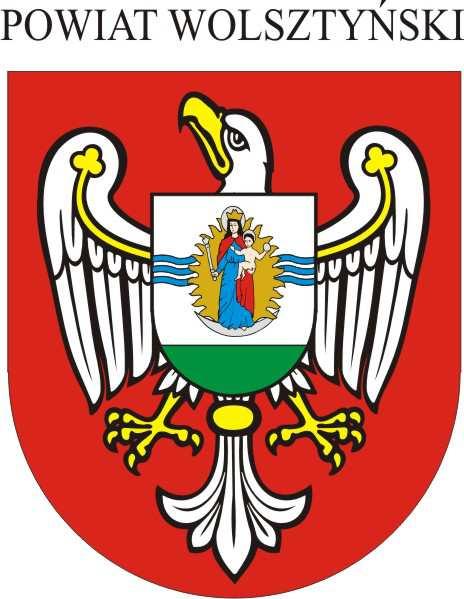 INSTRUKCJA WYPEŁNIANIA OFERTY REALIZACJI ZADANIA PUBLICZNEGO