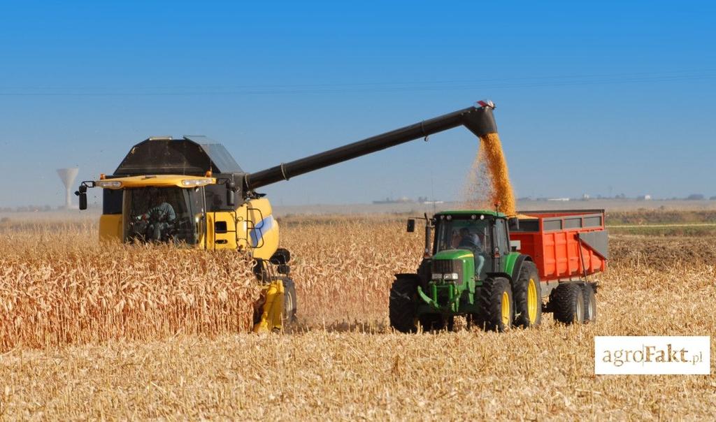 .pl https://www..pl Tegoroczna pogoda dała w kość rolnikom uprawiającym zboża. Plantatorom kukurydzy powinna natomiast przynieść dobre zbiory. Duży może więcej?