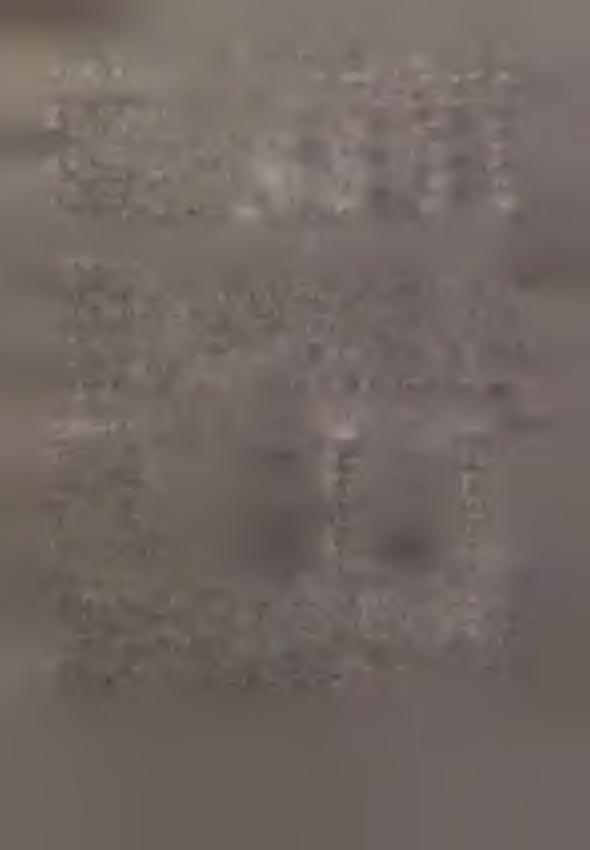 2 989 WYSZCZEGÓLNENE -V 988=00 V 988=00.