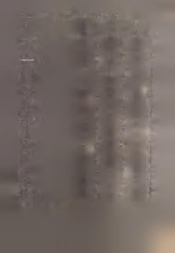 55 TA8L.