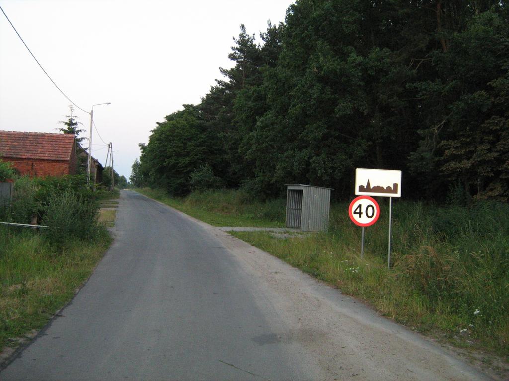 Zdjęcie 3. Widok wioski od strony północnej III. Inwentaryzacja zasobów Miejscowość Laskowa zamieszkują obecnie 155 osoby (stan na 31.12.2009 r.
