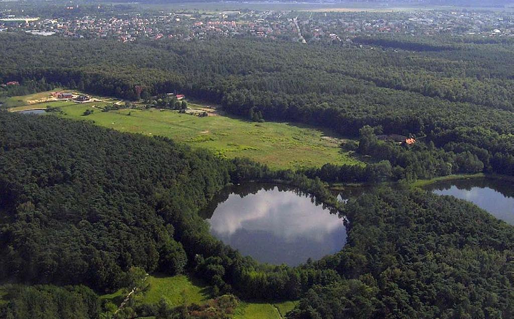 PROJEKT STRZESZYN Projekt Strzeszyn to przedsięwzięcie dotyczące zagospodarowania terenu o powierzchni 2,17 ha.