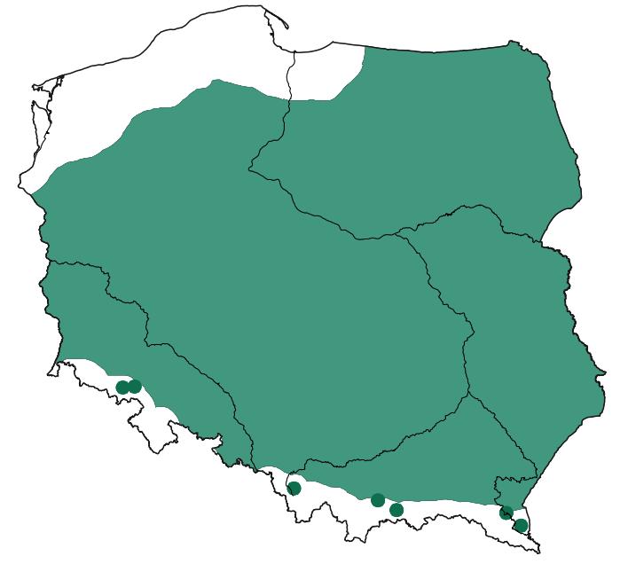 Rysunek 8 Lokalizacja siedlisk Natura 2000 9170 Grąd środkowoeuropejski i