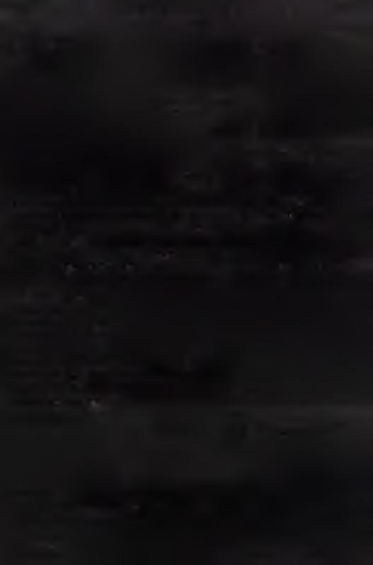 .. Stosunek do służby w ojskow ej... posiadam pozwolenie na prow adzenie pojazdów m echanicznych kateg... od dnia... 19... r. w ydane p rzez... Proszę o wydanie mi pozwolenia na prow adzenie poj.