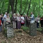 Ponad 200 osób zaprezentowało się podczas Przeglądu Twórczości Artystycznej Domów Pomocy Społecznej Rokitno 2013 jaki odbył się na scenie Gminnego Ośrodka