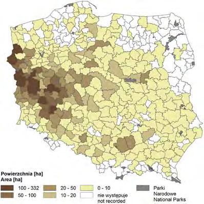 akacjowej w głównej warstwie drzewostanu w udziale co najmniej 10% i w wieku powyżej 50 lat (ryc. 2.