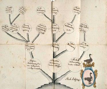 Fot. 1 Fot. 1. Drzewo genealogiczne, XVIII/XIX w.