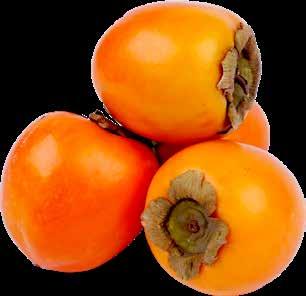 5 98 3 28 kg