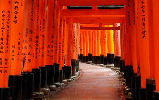 Kioto to miasto będące kolebką kultury japońskiej, słynące z licznych zabytków architektury drewnianej, sztuki ogrodowej i warsztatów rękodzieła.