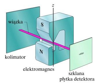 ..,l) (orbitalna magnetyczna liczba kwantowa) opisuje