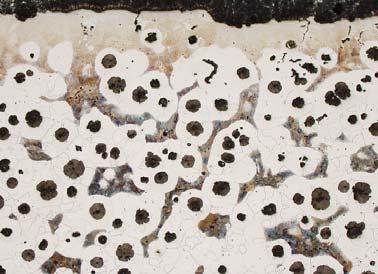 Microstructure of nodular cast iron of sample 40