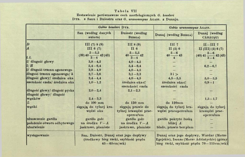 Tabela V II Zestaw ienie porównawcze cech m orfologicznych G. kessleri D yb. z Sanu i D niestru oraz G. uranoscopus A g a s s. z D unaju. San (według danych autora) Gobio Icessleri D y b.