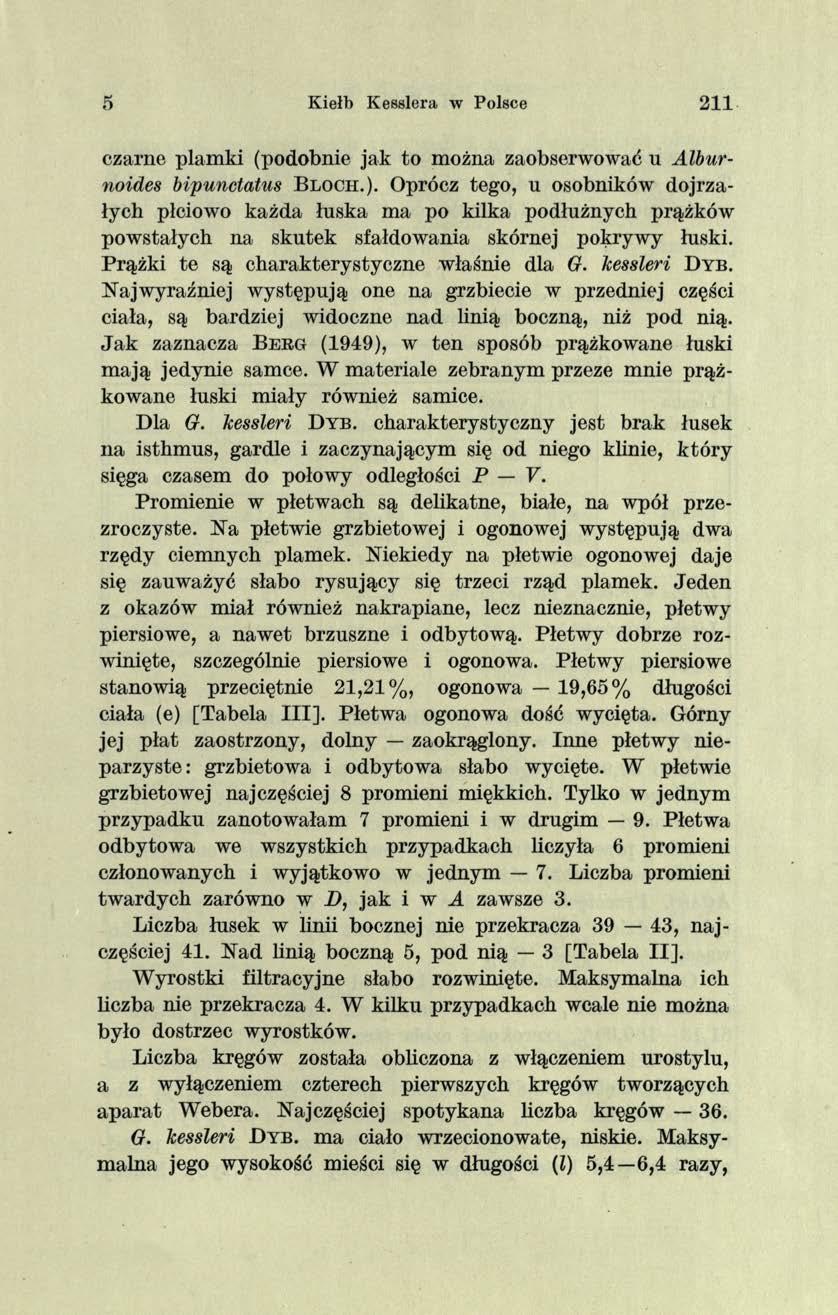 5 Kiełb Kesslera w Polsce 2 1 1 czarne plamki (podobnie jak to można zaobserwować u Alburnoides bipunctatus B loch.).