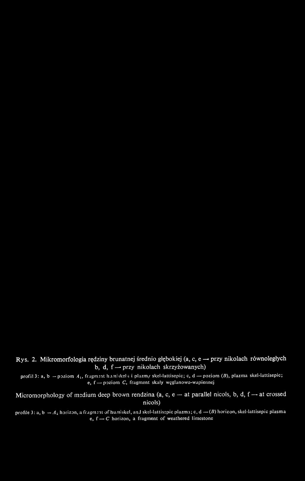 węglanowo-wapieimej Micromorphology of medium deep brown rendzina (a, c, e at parallel niçois,