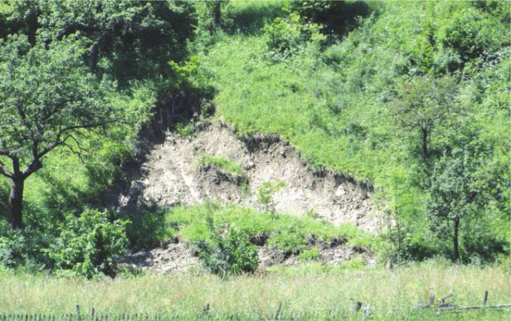 Lokalizacja i widok ogólny