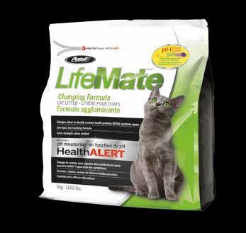 EASY CLEAN Probiotic Żwirek Sodowy; 5 kg.