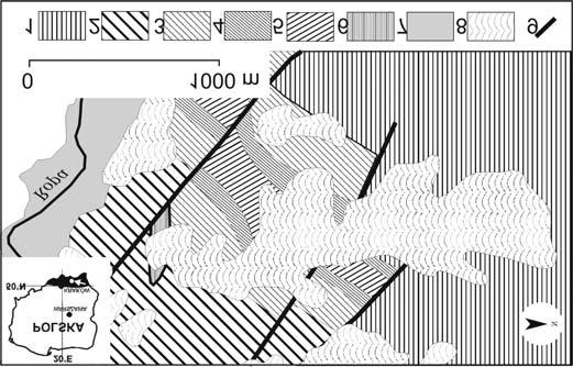 734 W. R¹czkowski & L. Zabuski OSUWISKO LUDOMIRA SAWICKIEGO Jak na to wskazuj¹ badania osuwisk w rejonie Szymbarku (Gil et al. 1974, Wójcik et al.
