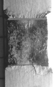 20 C 600 C 1x, c = 0.33 2x, c = 0.