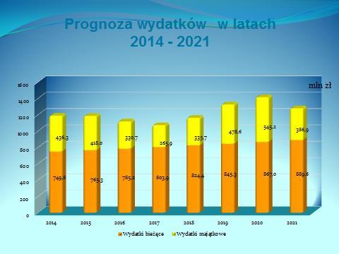 pozostałe przedsięwzięcia.