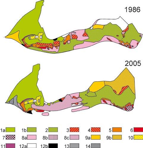 Struktura i zmiany zbiorowisk roślinnych na powierzchniach badawczych OPN 269 Ryc. 2. Rozmieszczenie zbiorowisk roślinnych na powierzchni badawczej Grodzisko, w latach 1986 i 2005: 1a Tilio-Carpinetum; 1b T.