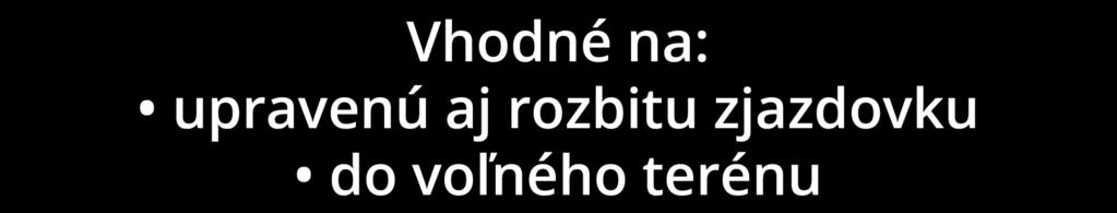 LYŽIARI.