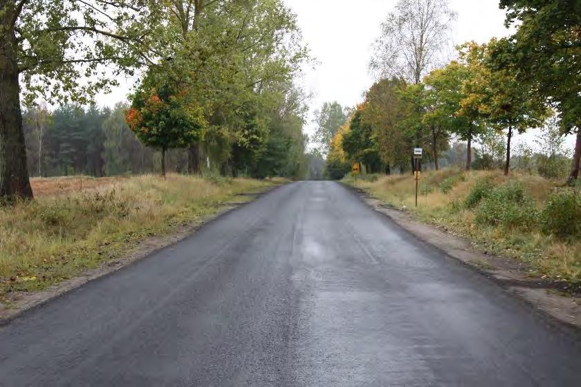 wykonawcą była firma BITUNOWA Sp. z o.o. z Warszawy za kwotę 736 689,61 zł.