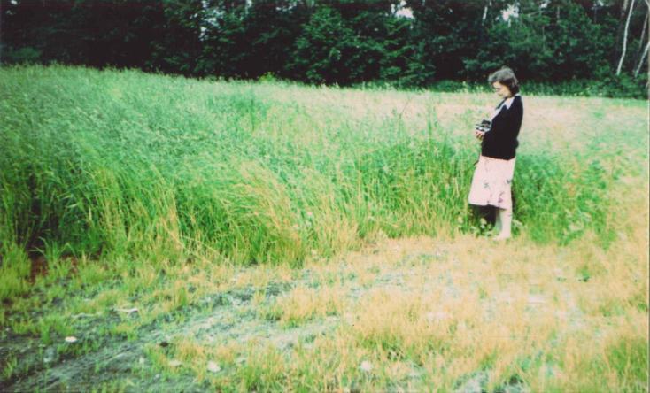 Rys. 3. Trawa na złożu odpadów paleniskowych, zdeponowanych w wyrobisku odkrywkowym na peryferiach Łodzi, w drugim roku po zastosowaniu osadu ściekowego i wysianiu nasion Fig. 3. Grass on coal combustion waste deposited in an opencast working in the peripheral area of Łódź in the second year following the use of sewage sludge and seeding.