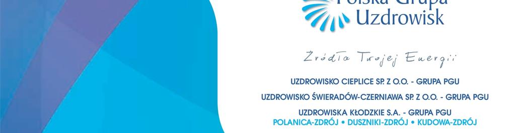 nadzoru inwestorskiego w zakresie