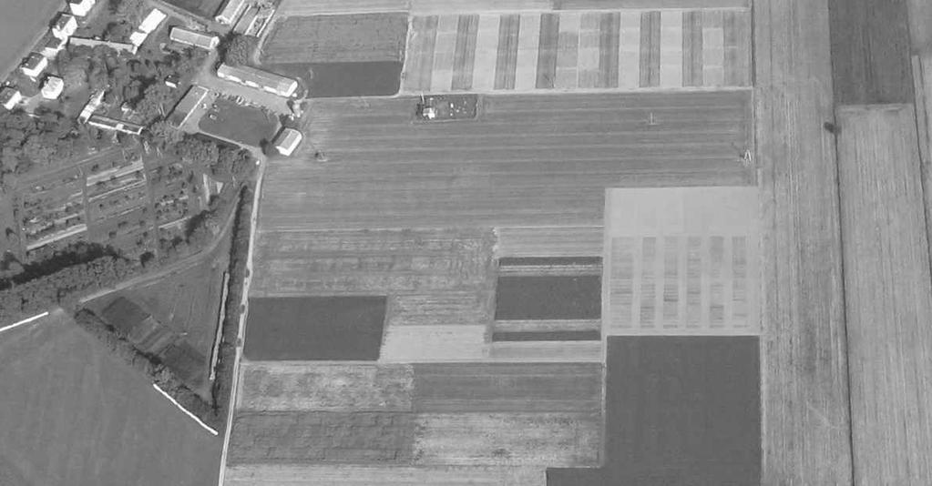 62 A). B). Rys. 1. Zdjęcie sytuacyjne obiektu doświadczalnego RZD w Grabowie. A). system uprawy tradycyjnej B). system uprawy uproszczonej Fig. 1. Aerial photo of treatments in RZD Grabów.