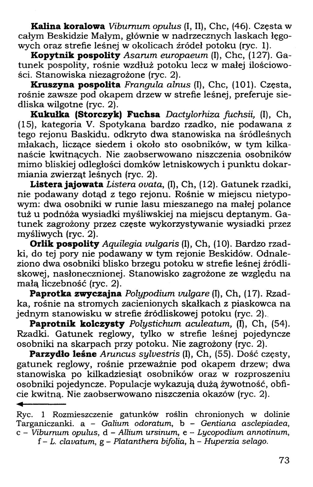 Kalina koralowa Viburnum opulus (I, II), Che, (46). Częsta w całym Beskidzie Małym, głównie w nadrzecznych laskach łęgowych oraz strefie leśnej w okolicach źródeł potoku (rye. 1).