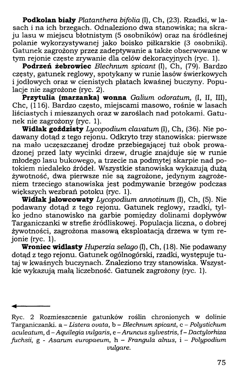 Podkolan biały Platanthera bifolia (I), Ch, (23). Rzadki, w lasach i na ich brzegach.