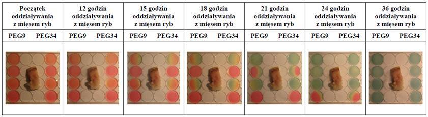Tichoniuk, M., Cierpiszewski, R., Krysińska N.