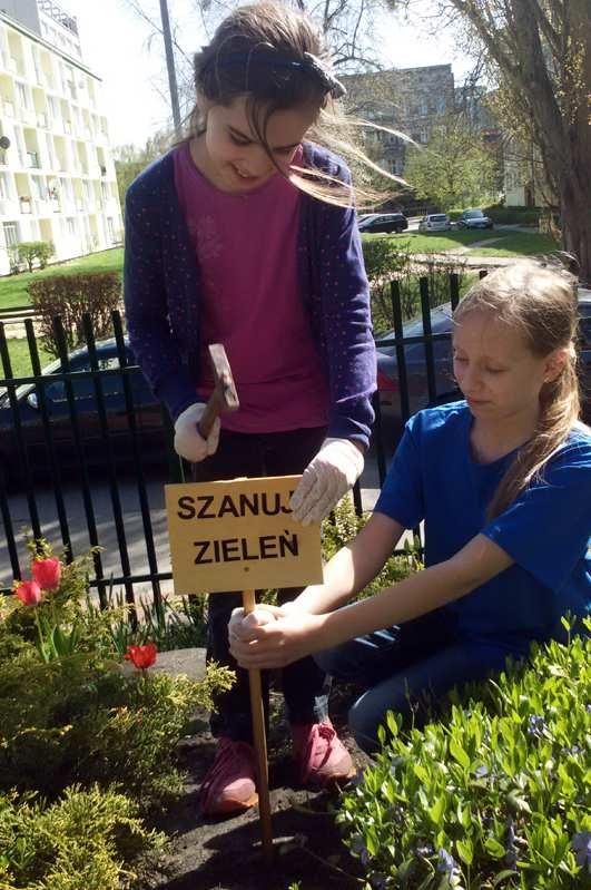 Posadzenie cebulek